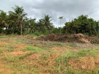 Lotissement à Bassam Motobé