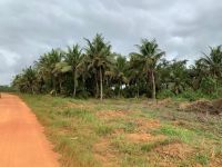 Lotissement à Bassam Motobé